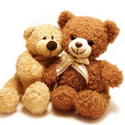 two teddy-bears sitting with their arms around each other isolated in white